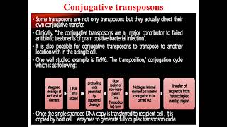 Conjugative transposons [upl. by Novyaj729]