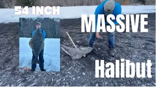 Biggest Halibut Yet Shore Fishing Seward Alaska 2 [upl. by Sylas]