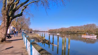 🌞Walking London Putney and the Thames River on a Sunny Day [upl. by Spear281]