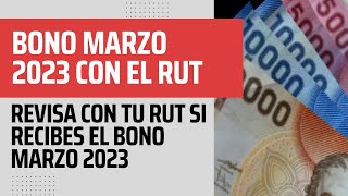 Bono Marzo 2024 Revisa con tu RUT si recibes el Aporte Familiar Permanente [upl. by Spooner]