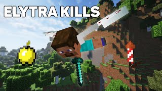 Elytra Kills Montage [upl. by Hunley]