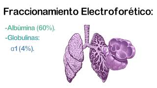 Proteínas Séricas en la práctica médica [upl. by Pickering]