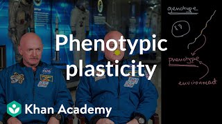 Phenotype plasticity  Heredity  AP Biology  Khan Academy [upl. by Arrahs571]