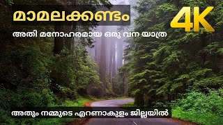 മാമലക്കണ്ടം വനയാത്ര 4K [upl. by Adranoel188]