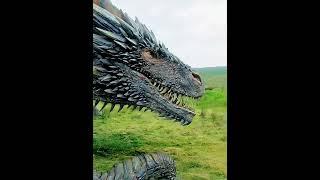 JON SNOW MEET ANGRY DRAGON 🐲 daenerystargaryenjonsnowedit gameofthronesshortsviralshort [upl. by Ylicis]