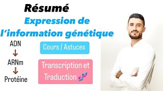 Résumé naaadi expression de l’information génétique  Transcription et Traduction  Mutation [upl. by Abad]