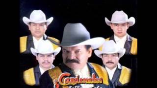 Los Cardenales De Nuevo León Mix  EN VIVO [upl. by Clara675]