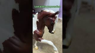 Lemme now if yall were at Dover saddlery today for there sale horses breyerunboxing [upl. by Atinuaj655]