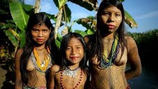 Primitive Tribes Amazon Culture [upl. by Strait684]