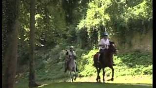 Distanzreiten  Info Video  Endurance Riding  German version [upl. by Iadrahs]