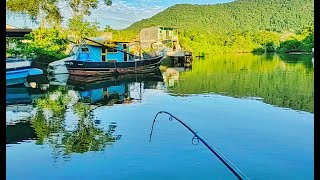 PESCARIA DE TAINHA NO CANAL DE UBATUBA 2020 [upl. by Llenahc604]