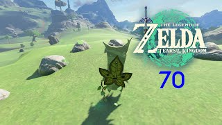 The Legend of Zelda Tears of the Kingdom Walkthrough Part 70 Postgame [upl. by Naegem876]