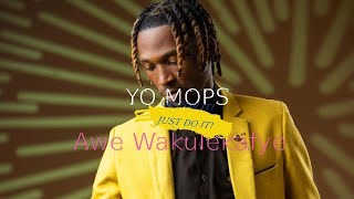 Yo Maps  Awe Wakulekafye Official Music Videoyomaps [upl. by Enirac286]