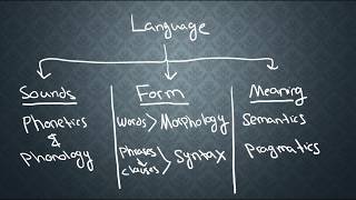 SEMANTICS1 What is Semantics [upl. by Glimp]