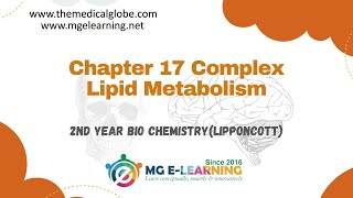 Chapter 17 Complex Lipid Metabolism Lipid Metabolism Lippincott [upl. by Gant]