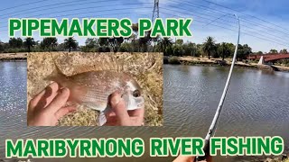 Maribyrnong River Fishing Pipemakers Park [upl. by Nosittam]