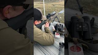 22 ARC 18” Proof barrel shooting 88 ELDM’s at 515 yards shorts ar15 tactical hunting gun [upl. by Ssilem]