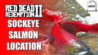 Sockeye Salmon Location Red Dead Online  Daily Challenge [upl. by Bennet942]