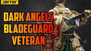 Dark Angels Bladeguard Veteran Secrets Revealed [upl. by Ahsinawt]