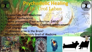 Top Minds of Psychedelics Dr Laban [upl. by Eidlog]