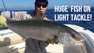 Gulf of Mexico Amberjack fishing with my nephews fishing fishingvideo viralvideo viral [upl. by Kaz765]