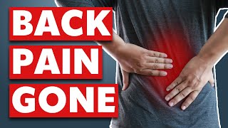 Watch these 93 minutes if you want to overcome your Lower Back Pain compilation [upl. by Hauge]