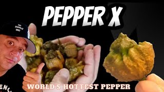 Pepper X Worlds Hottest Pepper [upl. by Stephannie684]