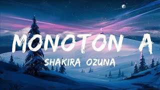 Shakira Ozuna  Monotonía  Best Songs [upl. by Eenaj]