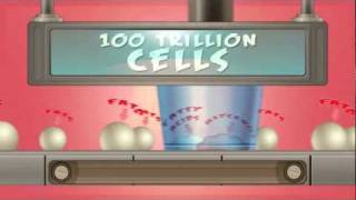 ChemMatters  Digestion The Incredible Disassembly Line [upl. by Mckeon]