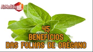 45 benefícios das folhas de orégano [upl. by Issy696]