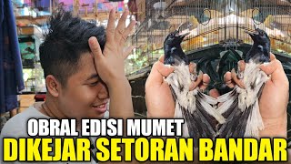 DILUAR AKAL SEHAT  KACER 50 RIBU EDISI JUAL MUMET HARI INI DEMI BAYAR SETORAN BANDAR [upl. by Ahsilra]