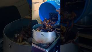 Cocinando 🧑‍🍳 cangrejo 🦀 [upl. by Kenlee743]