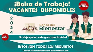 Bolsa de trabajo Banco del Bienestar  EMPLEO  Proceso del REGISTRO Requisitos [upl. by Toblat781]