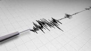 Earthquake Seismograph Line Looping  2 Styles [upl. by Oyam]