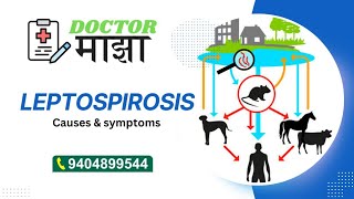 leptospirosis signs and symptoms Drgauravgangan [upl. by Ecydnak]