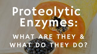 What Are Proteolytic Enzymes and What Do They Do [upl. by Skcirdnek738]