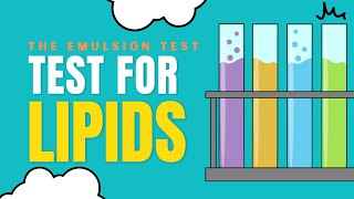 TEST FOR LIPIDS  EMULSION TEST [upl. by Philips]