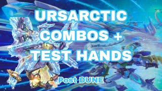 YuGiOh URSARCTIC COMBOS amp TEST HAND Post Duelist Nexus [upl. by Ynnavoeg742]