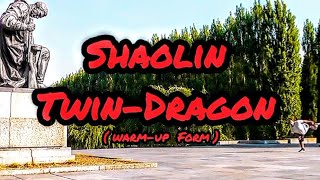 ShaolinKung FuForm60Twindragon [upl. by Rolyab257]