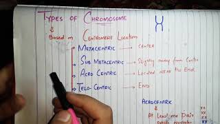 Types Of ChromosomeMetacentricSubmetacentricAcrocentricTelocentricNucleolar OrganizerSatillite [upl. by Cence148]