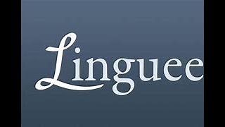 O Site Tradutor De Idiomas Linguee [upl. by Rockwell]