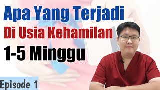 USIA KEHAMILAN 15 MINGGU eps 1 TANYAKAN DOKTER [upl. by Eenhpad]