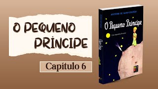 O Pequeno Príncipe  Antoine de SaintExupéry  Capítulo 6  📚 Audiobook 🎧 [upl. by Llertnor]