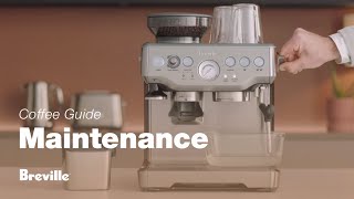 The Barista Touch™  Performing a ’Clean cycle’ with the push of a button  Breville USA [upl. by Ydarg]