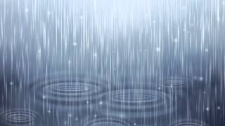 Nature Sounds Rain Sounds One Hour for Sleeping Sleep Aid for Everybody [upl. by Schroeder220]