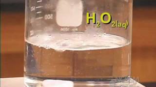 Homogeneous Catalyst [upl. by Kciredes]