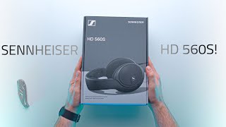 FIRST LOOK at the BRAND NEW HD560S  First Impressions [upl. by Linetta848]