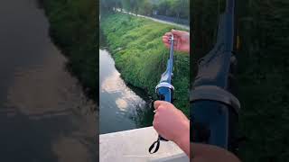 Portable Telescopic Folding Mini Fishing Rod [upl. by Rollie]