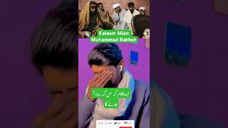 میاں محمد بخش sufikalam shorts youtubeshorts [upl. by Orlan]