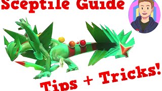 Sceptile Guide  Pokken Tournament  Basic Guide  First Impressions  Tips And Tricks [upl. by Erasaec]